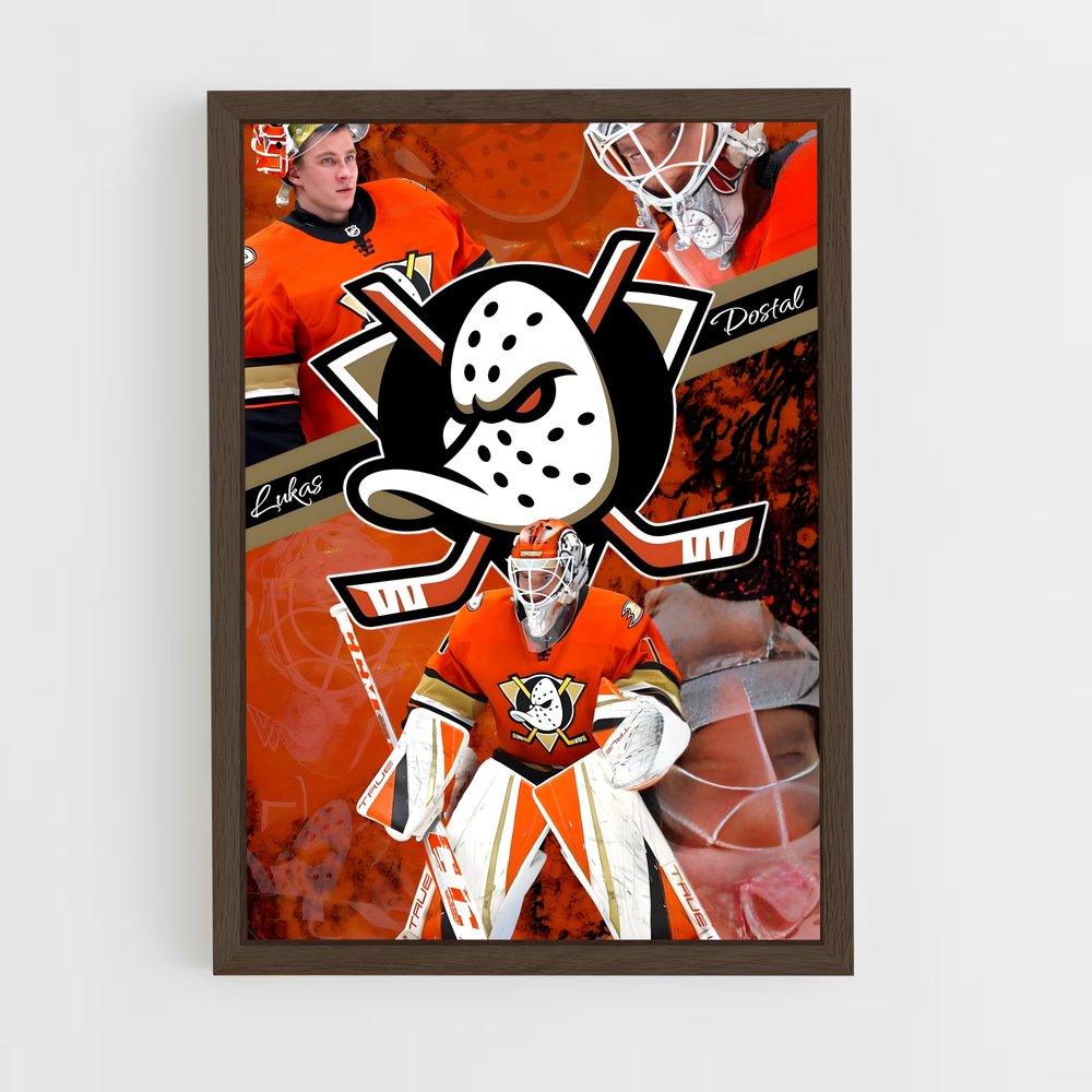 Poster Anaheim Flyers – affiche Hockey sur glace (vue 5)